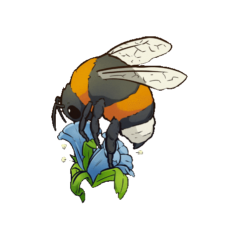 BiosfarVanerskargarden giphygifmaker nature flower water Sticker
