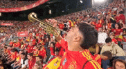World Cup Football GIF