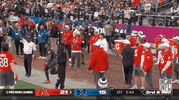 Nfl Pro Bowl Football GIF by NFL