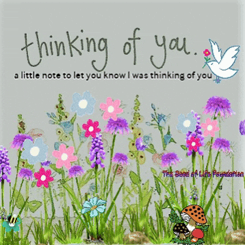 Digital art gif. A white dove flutters above a garden of pink, purple, and blue flowers. Text, "Thinking of you. A little note to let you know I was thinking of you."