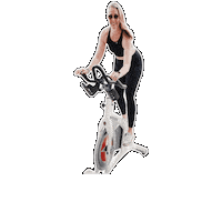 Socialcycle Sticker by Social Cycle Spin Club