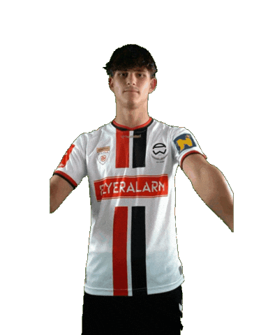 Admira Sticker by KSV1919