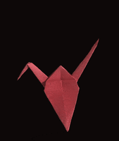 ImyGeorge animation flying wings china GIF