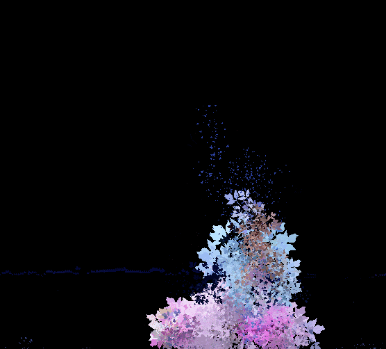 GIF by Leon Denise