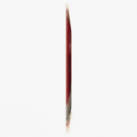 Lollapalooza Videographer GIF by Respective