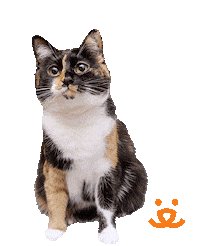 No Way What Sticker by Best Friends Animal Society