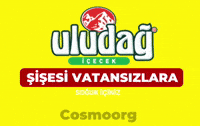 Bursa GIF