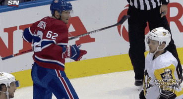Ice Hockey Sport GIF by NHL