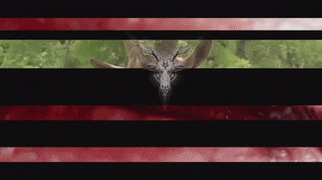 Art Video GIF by jorgemariozuleta