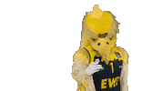 Ewe Baskets Basketball Sticker by EWE Baskets Oldenburg