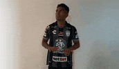 Futbol Mexicano GIF by Club Pachuca Tuzos