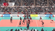 Happy World Cup GIF by Volleyball World
