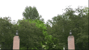 MSUMoorhead summer dragons campus gates GIF