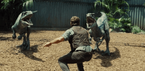 dogs spoiler GIF