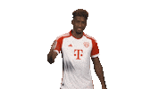 Fc Bayern Salute Sticker by Bundesliga