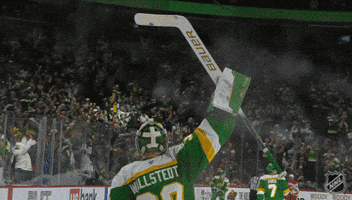 Happy Minnesota Wild GIF by NHL