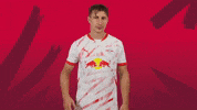 Willi Orban Hello GIF by RB Leipzig