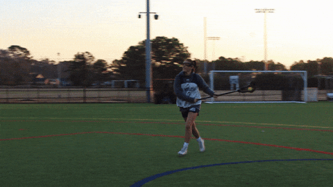 vwu_marlins giphyupload marlins vwu wethebeach GIF