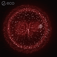 To The Moon Crypto GIF by Eco