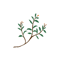 Flower Sticker by hahaha-design