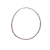 kailligraphydesigns new post circle ig feed multicolour Sticker