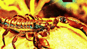 Dead Man Walking Drake GIF by 2 Chainz