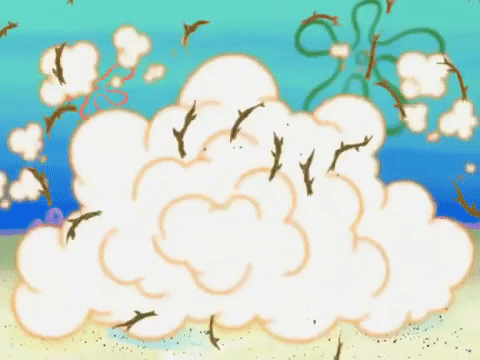 season 6 pet or pets GIF by SpongeBob SquarePants