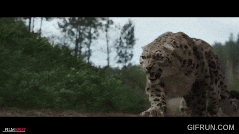 d4b123123r32513244 giphyupload GIF