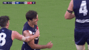 foreverfreo freo GIF by Fremantle Dockers