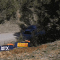 Driving Ford GIF by FIA World Rally Championship
