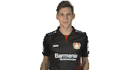 football celebrating Sticker by Bundesliga