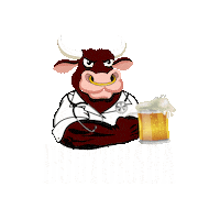 Doutorada Sticker by Casa Guido