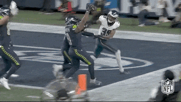 National Football League GIF by NFL