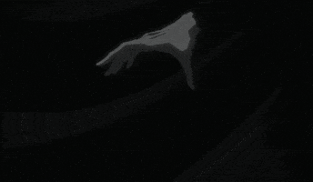 Tybw GIF