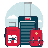 carry-on travel Sticker by Norwegian Airlines