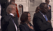 Joe Biden GIF by GIPHY News