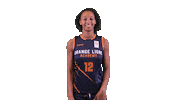 NLbasketball olaw Sticker