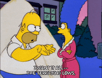 homer simpson GIF