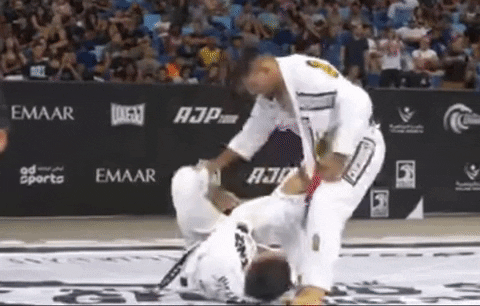 TFSMatt giphyupload GIF