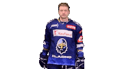 Hokej Zajic Sticker by Rytíři Kladno
