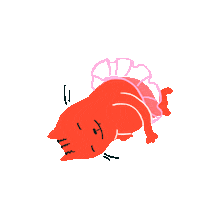 Katpatrick Doodlecat Sticker by Scribble Kids Books