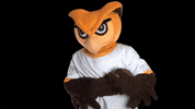 Ncaa Mascot GIF by Rowan University