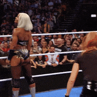 Who Is That I See You GIF by WWE