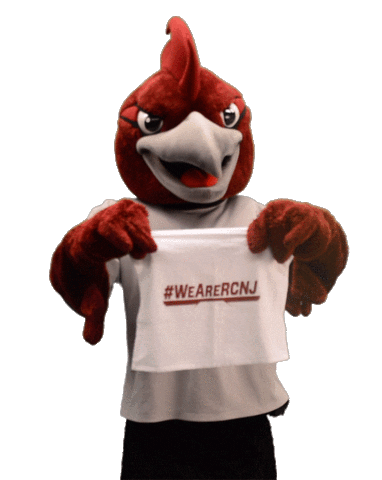 Mascot Roadrunners Sticker by Ramapo College of New Jersey