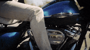 Ride GIF by Harley-Davidson