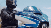 Ride GIF by Harley-Davidson