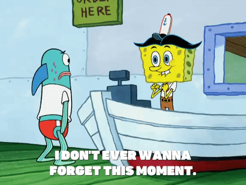 season 5 episode 20 GIF by SpongeBob SquarePants