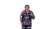 Ducs Dangers Hockey Sticker by Les Ducs d'Angers