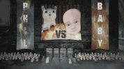 mark duplass cats GIF by Animals