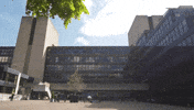 university GIF by UCL Institute of Education